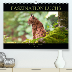 Faszination Luchs (Premium, hochwertiger DIN A2 Wandkalender 2021, Kunstdruck in Hochglanz) von www.chphotography.de