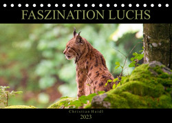 Faszination Luchs (Tischkalender 2023 DIN A5 quer) von www.chphotography.de