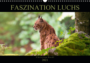 Faszination Luchs (Wandkalender 2021 DIN A3 quer) von www.chphotography.de