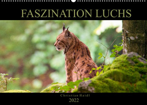 Faszination Luchs (Wandkalender 2022 DIN A2 quer) von www.chphotography.de