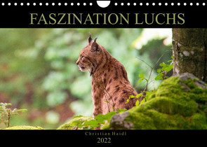 Faszination Luchs (Wandkalender 2022 DIN A4 quer) von www.chphotography.de