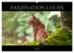 Faszination Luchs (Wandkalender 2024 DIN A2 quer), CALVENDO Monatskalender von www.chphotography.de,  www.chphotography.de