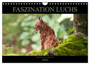 Faszination Luchs (Wandkalender 2024 DIN A4 quer), CALVENDO Monatskalender von www.chphotography.de,  www.chphotography.de