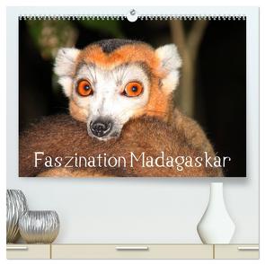 Faszination Madagaskar (hochwertiger Premium Wandkalender 2024 DIN A2 quer), Kunstdruck in Hochglanz von Raab,  Karsten-Thilo