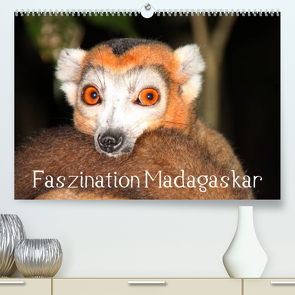 Faszination Madagaskar (Premium, hochwertiger DIN A2 Wandkalender 2023, Kunstdruck in Hochglanz) von Raab,  Karsten-Thilo