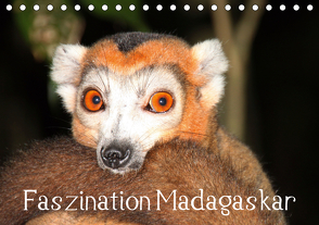 Faszination Madagaskar (Tischkalender 2021 DIN A5 quer) von Raab,  Karsten-Thilo