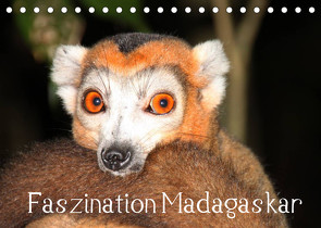 Faszination Madagaskar (Tischkalender 2022 DIN A5 quer) von Raab,  Karsten-Thilo