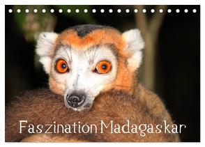 Faszination Madagaskar (Tischkalender 2024 DIN A5 quer), CALVENDO Monatskalender von Raab,  Karsten-Thilo