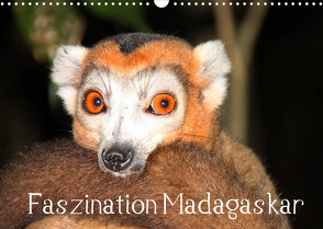 Faszination Madagaskar (Wandkalender 2022 DIN A3 quer) von Raab,  Karsten-Thilo