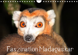Faszination Madagaskar (Wandkalender 2022 DIN A4 quer) von Raab,  Karsten-Thilo