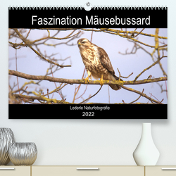 Faszination Mäusebussard (Premium, hochwertiger DIN A2 Wandkalender 2022, Kunstdruck in Hochglanz) von Andreas Lederle,  Kevin
