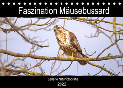 Faszination Mäusebussard (Tischkalender 2022 DIN A5 quer) von Andreas Lederle,  Kevin