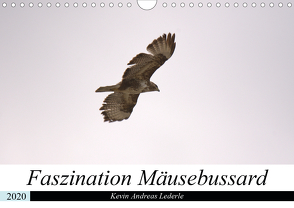 Faszination Mäusebussard (Wandkalender 2020 DIN A4 quer) von Andreas Lederle,  Kevin