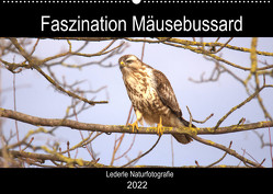 Faszination Mäusebussard (Wandkalender 2022 DIN A2 quer) von Andreas Lederle,  Kevin