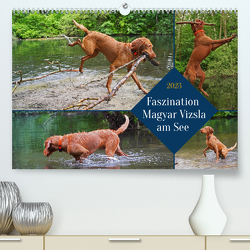 Faszination Magyar Vizsla am See (Premium, hochwertiger DIN A2 Wandkalender 2023, Kunstdruck in Hochglanz) von Paul - Babett's Bildergalerie,  Babett