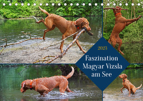 Faszination Magyar Vizsla am See (Tischkalender 2023 DIN A5 quer) von Paul - Babett's Bildergalerie,  Babett