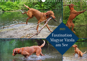 Faszination Magyar Vizsla am See (Wandkalender 2023 DIN A3 quer) von Paul - Babett's Bildergalerie,  Babett
