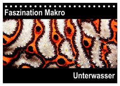 Faszination Makro Unterwasser (Tischkalender 2024 DIN A5 quer), CALVENDO Monatskalender von Bucher,  Markus