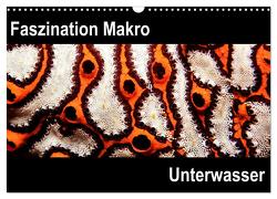 Faszination Makro Unterwasser (Wandkalender 2024 DIN A3 quer), CALVENDO Monatskalender von Bucher,  Markus