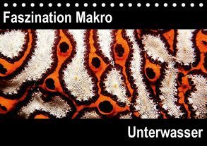 Faszination Makro UnterwasserCH-Version (Tischkalender 2018 DIN A5 quer) von Bucher,  Markus