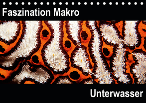 Faszination Makro UnterwasserCH-Version (Tischkalender 2020 DIN A5 quer) von Bucher,  Markus