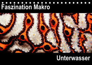 Faszination Makro UnterwasserCH-Version (Tischkalender 2022 DIN A5 quer) von Bucher,  Markus