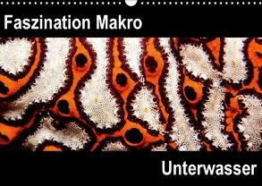Faszination Makro UnterwasserCH-Version (Wandkalender 2018 DIN A3 quer) von Bucher,  Markus