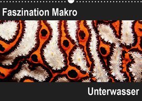 Faszination Makro UnterwasserCH-Version (Wandkalender 2019 DIN A3 quer) von Bucher,  Markus