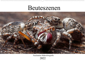 Faszination Makrofotografie: Beuteszenen (Wandkalender 2022 DIN A2 quer) von Mett Photography,  Alexander