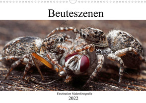 Faszination Makrofotografie: Beuteszenen (Wandkalender 2022 DIN A3 quer) von Mett Photography,  Alexander