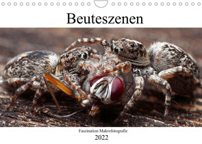 Faszination Makrofotografie: Beuteszenen (Wandkalender 2022 DIN A4 quer) von Mett Photography,  Alexander