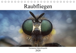 Faszination Makrofotografie: Raubfliegen (Tischkalender 2020 DIN A5 quer) von Mett Photography,  Alexander