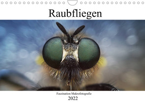 Faszination Makrofotografie: Raubfliegen (Wandkalender 2022 DIN A4 quer) von Mett Photography,  Alexander