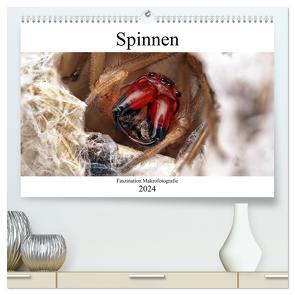 Faszination Makrofotografie: Spinnen (hochwertiger Premium Wandkalender 2024 DIN A2 quer), Kunstdruck in Hochglanz von Mett Photography,  Alexander