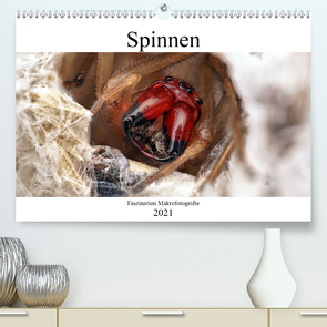 Faszination Makrofotografie: Spinnen (Premium, hochwertiger DIN A2 Wandkalender 2021, Kunstdruck in Hochglanz) von Mett Photography,  Alexander