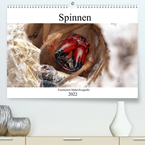 Faszination Makrofotografie: Spinnen (Premium, hochwertiger DIN A2 Wandkalender 2022, Kunstdruck in Hochglanz) von Mett Photography,  Alexander