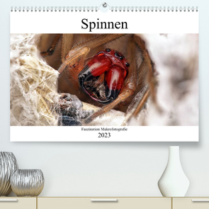 Faszination Makrofotografie: Spinnen (Premium, hochwertiger DIN A2 Wandkalender 2023, Kunstdruck in Hochglanz) von Mett Photography,  Alexander