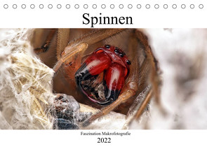 Faszination Makrofotografie: Spinnen (Tischkalender 2022 DIN A5 quer) von Mett Photography,  Alexander