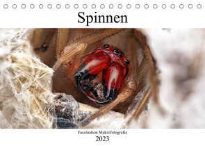 Faszination Makrofotografie: Spinnen (Tischkalender 2023 DIN A5 quer) von Mett Photography,  Alexander