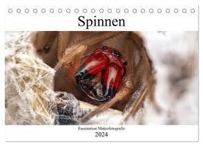Faszination Makrofotografie: Spinnen (Tischkalender 2024 DIN A5 quer), CALVENDO Monatskalender von Mett Photography,  Alexander