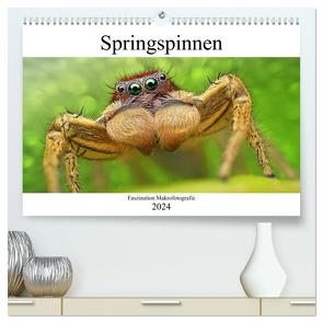 Faszination Makrofotografie: Springspinnen (hochwertiger Premium Wandkalender 2024 DIN A2 quer), Kunstdruck in Hochglanz von Mett Photography,  Alexander