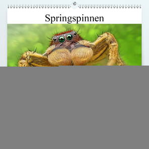 Faszination Makrofotografie: Springspinnen (Premium, hochwertiger DIN A2 Wandkalender 2021, Kunstdruck in Hochglanz) von Mett Photography,  Alexander