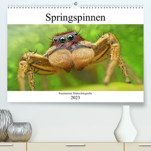 Faszination Makrofotografie: Springspinnen (Premium, hochwertiger DIN A2 Wandkalender 2023, Kunstdruck in Hochglanz) von Mett Photography,  Alexander