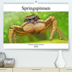 Faszination Makrofotografie: Springspinnen (Premium, hochwertiger DIN A2 Wandkalender 2020, Kunstdruck in Hochglanz) von Mett Photography,  Alexander