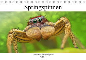 Faszination Makrofotografie: Springspinnen (Tischkalender 2021 DIN A5 quer) von Mett Photography,  Alexander