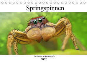 Faszination Makrofotografie: Springspinnen (Tischkalender 2022 DIN A5 quer) von Mett Photography,  Alexander
