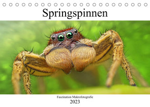 Faszination Makrofotografie: Springspinnen (Tischkalender 2023 DIN A5 quer) von Mett Photography,  Alexander
