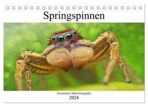 Faszination Makrofotografie: Springspinnen (Tischkalender 2024 DIN A5 quer), CALVENDO Monatskalender von Mett Photography,  Alexander