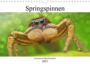 Faszination Makrofotografie: Springspinnen (Wandkalender 2021 DIN A4 quer) von Mett Photography,  Alexander