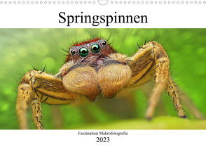 Faszination Makrofotografie: Springspinnen (Wandkalender 2023 DIN A3 quer) von Mett Photography,  Alexander